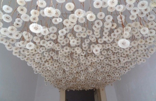anti-biotico:    Regine Ramseier, a German artist, had the great idea to created