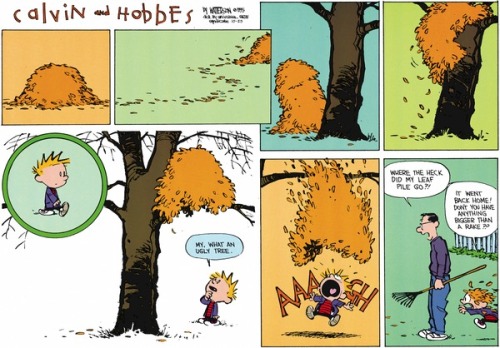 &ldquo;Calvin &amp; Hobbes for October 25, 2015&rdquo; on /r/calvinandhobbes ift.