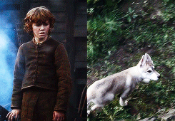 arthurdarvvill:  game of thrones meme: five houses [2/5]  ➤ House Stark  When
