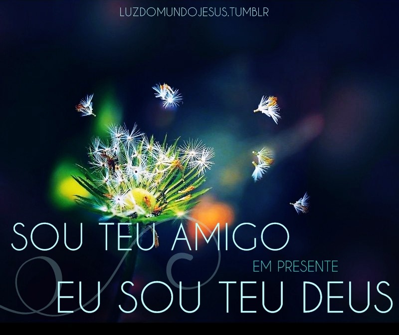 Aconchegue-se