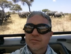 <p>Tarangire is a true elephant reserve of amazement. Wildebeest,  worthogs, zebras….and many more. CHECK. Wild.</p>