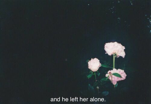 acidic-child:  🌸🌸🌸