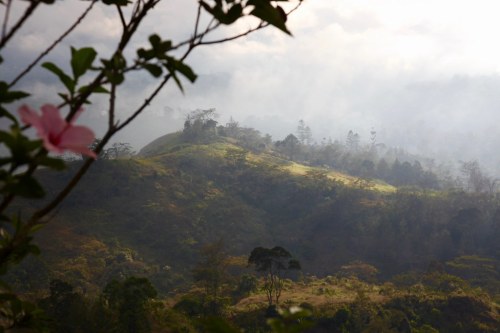 Hautes-Terres orientales by Michel photography / 40 Millions +Views https://flic.kr/p/Fwa5JC