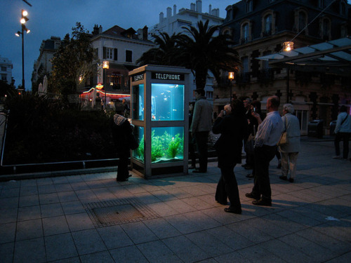 ex0skeletal: (via Benedetto Bufalino and Benoit Deseille Repurpose Phone Booths for Aquariums | Hi-F