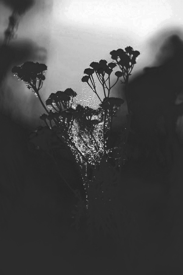 Lovely Sad