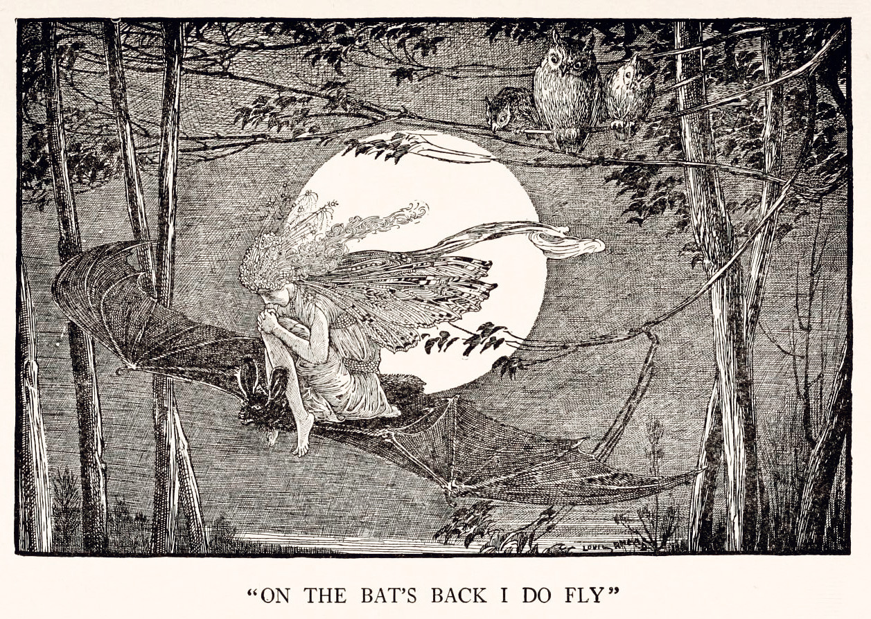 Louis Rhead (1857-1926), ‘On the bat’s back I do fly’, “Tales from Shakespeare” by Charles & Mary Lamb, 1918
Source