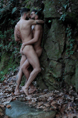 otternaturist:  Hairy faces and slim bodies:http://otternaturist.tumblr.com