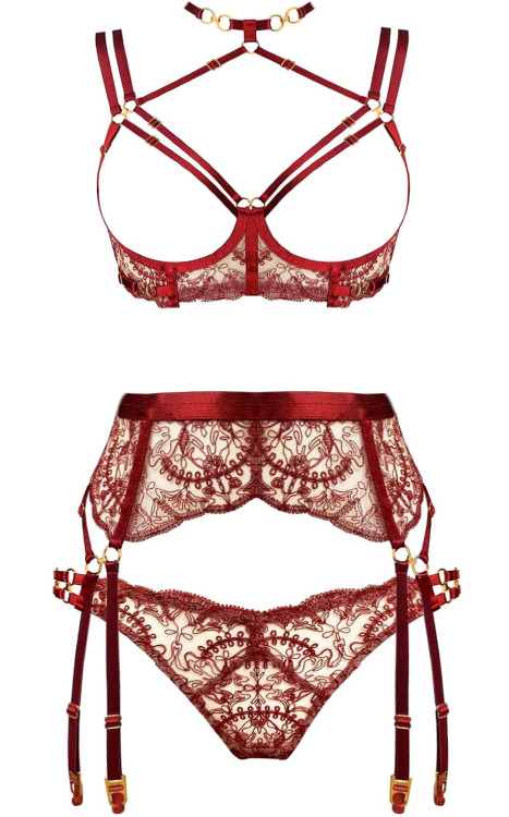 martysimone:    Bordelle | Cymatic • Ouvert Wire Bra + Suspender + Open Back Brief in burnt red  