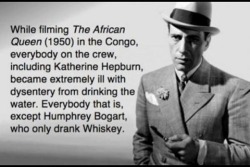 instructor144:  diabolic-seductions: Life lessons from Humphrey Bogart. Any questions?  Devotional Training: Life Lessons. 