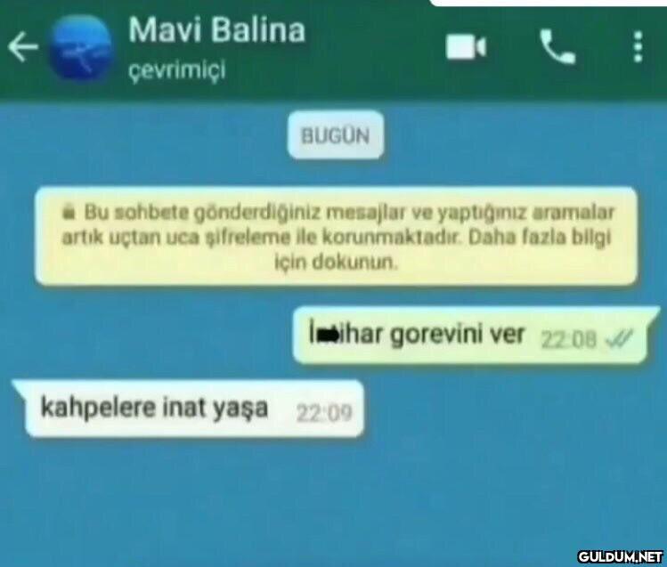 Mavi Balina çevrimiçi...