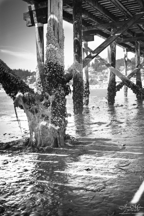 Structures of time | White Rock Pier, BC CanadaFlickr | 500px | Instagram