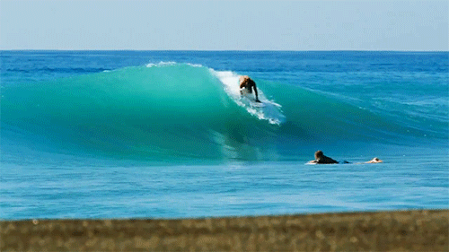 asurferdreams:  I’d rather be surfing right now…