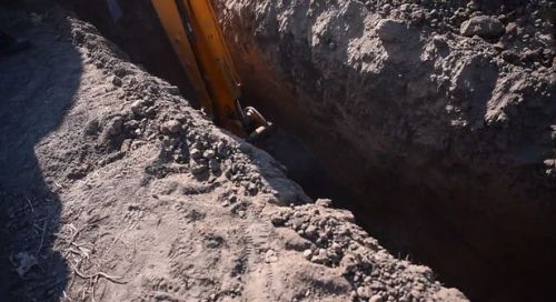 Dead Man Found After A Fig Tree Grows From His Stomach.