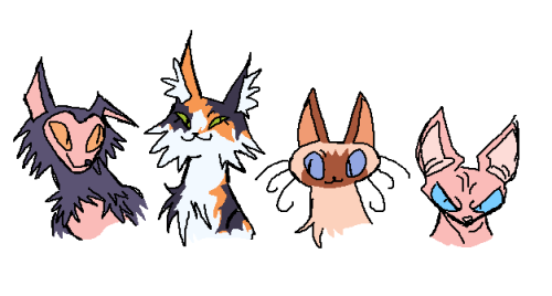 warrior cats ocs!!!!! 4 rogues who were previously from all diff clans but met at gatherings as appr