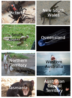 perfectlyscrumptious:  darkinternalthoughts:  viceking:  rori5000:  figureonground:  The States and Territories of Australia I saw other countries doing this and thought Australia should have one too.  Australia is a terrifying place.  Of course, QLD