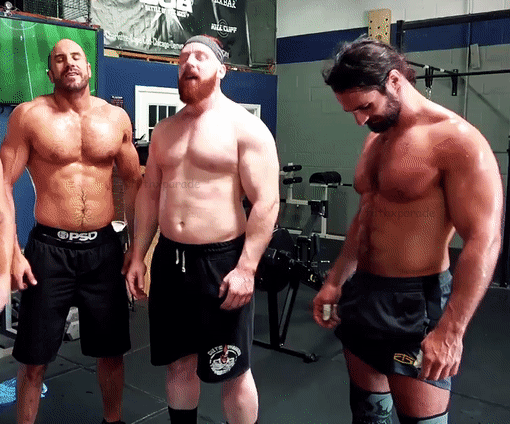 filthxparade:Cesaro, Sheamus, Seth Rollins