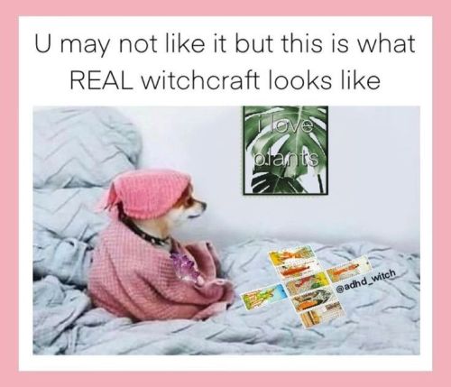 crazycatsiren: Meme by @adhd_witch. #witch, #witchcraft, #witchesofinstagram, #witchstagram, #witchl