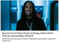 hotsenator:  Dear Mr. Flocka Flame, in the attached file you will find my resumé, 