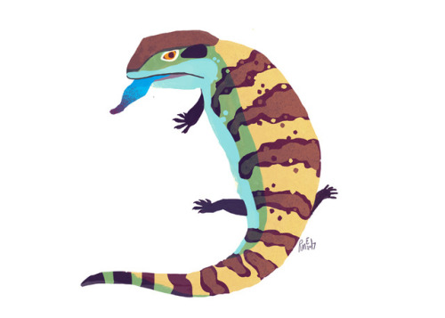 blue-tongue skink