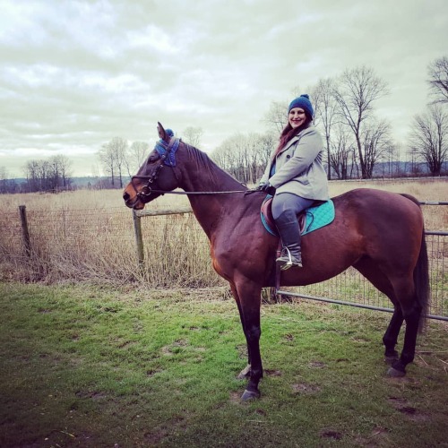 Took some lovely pix with my pony today #ottbmom #ottb #ottbsofinstagram #exracehorse #retiredraceho