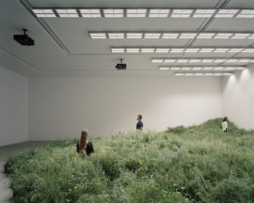 itscolossal: Indoor Installation of 10,000 Plants Considers Relationship Between Endangered Australi