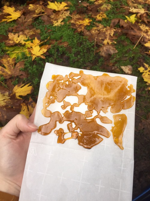 grandiflours:Fall colors✨ Come dab?