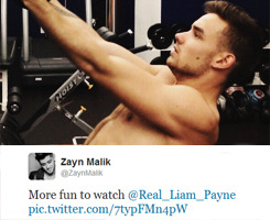  AU:  Model Zayn Malik meets Boxer Liam Payne at one of his fights. They may be