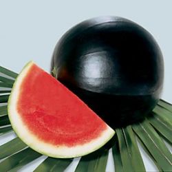 sixpenceee:  Black Watermelon: The Dansuke watermelon is the most expensive watermelon in the world. It’s harder and more crisp than the American watermelon. It’s said to be sweeter as well. One watermelon can cost as much as Ů,100. They grow only