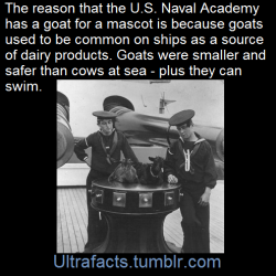 ultrafacts:  Source Follow Ultrafacts for