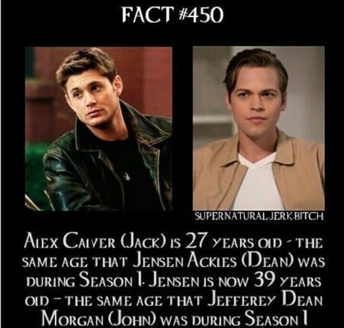 I Think I Already Posted This But Woah.