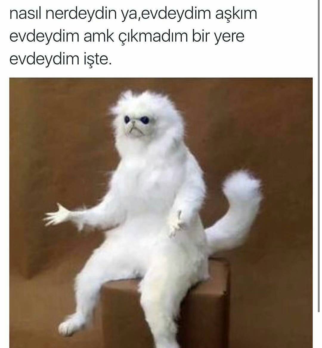 nasıl nerdeydin...