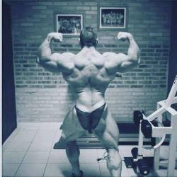 muscular guys, bodybuilders and my states