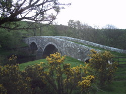 pagewoman:  Rede Bridge, Redesdale, Northumberland, England by Pete Saunders 