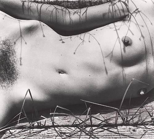 delicatesexandlove: almavio:  Walter Chappell (1925-2000) • Nude Grass Volcano,