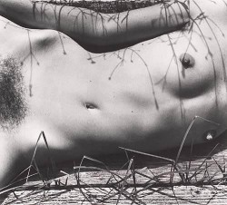 Delicatesexandlove: Almavio:  Walter Chappell (1925-2000) • Nude Grass Volcano,