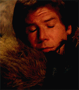 captainssolo:  Day 18 of Star Wars Challenge - Favorite Duo/Friendship   I don’t