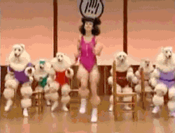 funny-gifs-videos:  For Funny OMG ! GIFS follow me !http://funny-gifs-videos.tumblr.com/