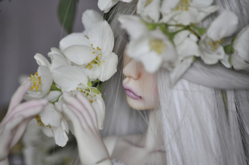 kamiiramaria: Jasmine, pt.3