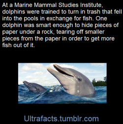 ultrafacts:  (Fact Source) Follow Ultrafacts for more facts 