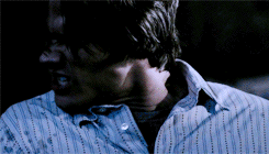 ballsdeepinwinchesters:  they probably gave us Favorite TV Fan Following because