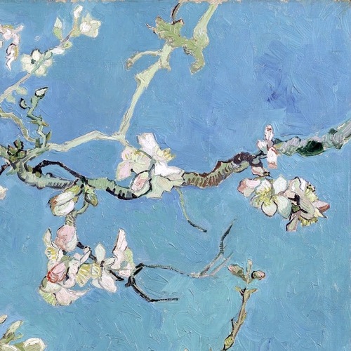 viverci:  malinconie:  Almond Blossoms, Vincent Van Gogh    ☁ORGASM☁   