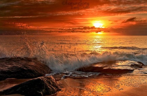 djferreira224:Sunrise at Ellis Beach ~ Cairns, Australia Photo by Tony Dailo
