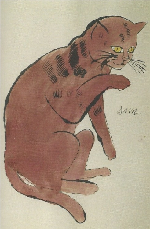 phileas69:Andy WarholChat / Cat (Sam)Lithographie aquarellée / Watercolor lithograph22 x 14 cm1954(p