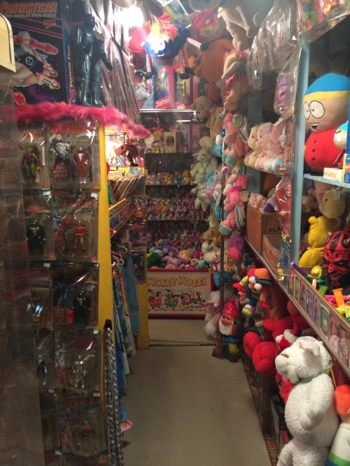 Insane toy shop, full of classic collectibles.