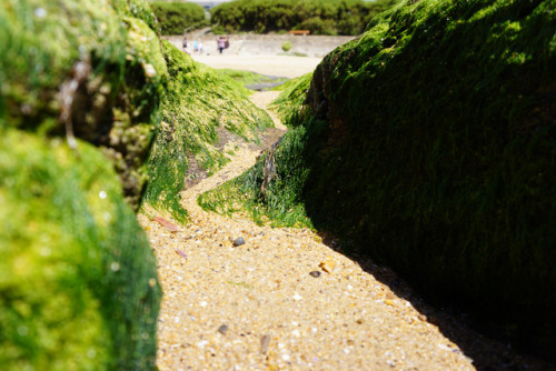 Macro-canyon.Sables d’Olonne, Vendée, France.