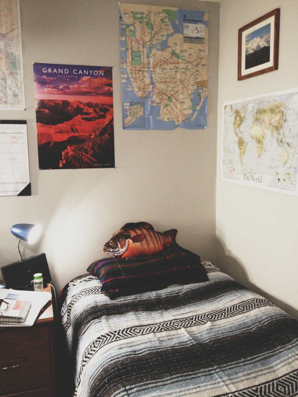 kelligator:  this is my room it’s really nice