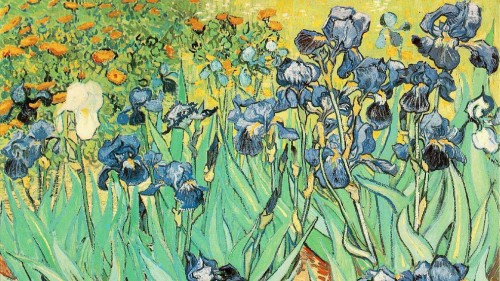 annesidora: 30 march 1853 - birth of Van Gogh“I put my  h e a r t  and my  s o u l  into my work, and have lost my mind in the process.”