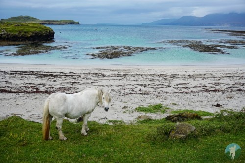 The history, the aura, the beaches, the weather, the micro-culture…..the Scottish isles truly