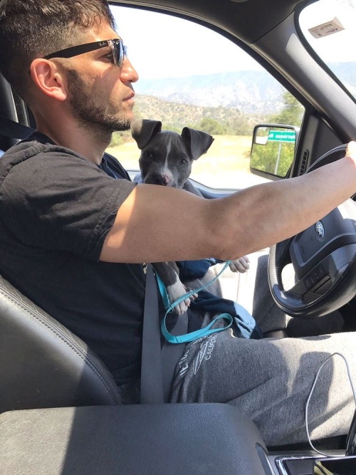 Jon + Dogs + Cars Is A Combo We Need More Of As A Species I Think