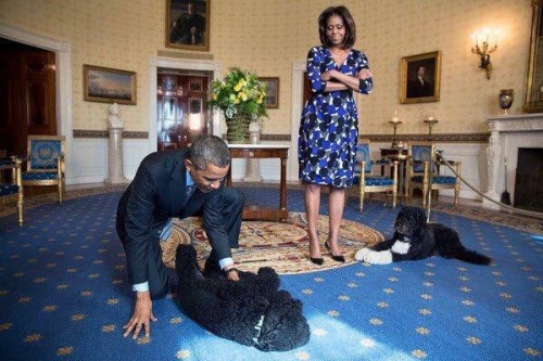 sintisinmi:  Obama and Michelle adult photos